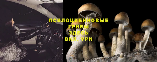 ALPHA-PVP Богородск