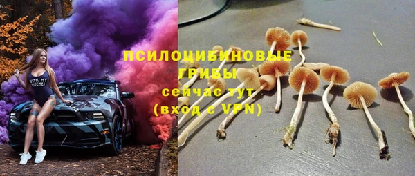 ALPHA-PVP Богородск