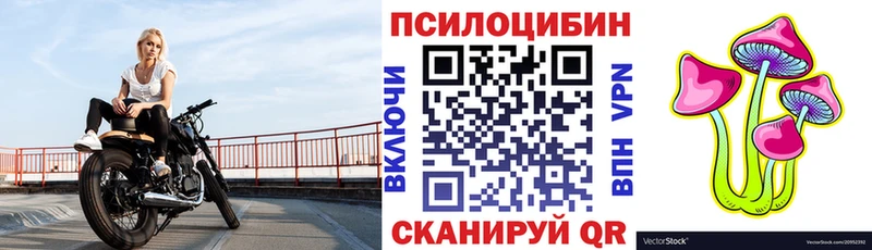 omg ТОР  Бобров  Галлюциногенные грибы Cubensis 